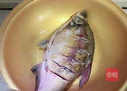红烧鳊鱼的做法图解2