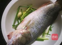 清蒸鲈鱼的做法图解4