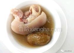 怀孕汤谱 麦芽蜜枣猪蹄汤 香甜又消食
