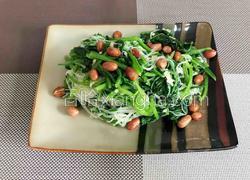 芥末拌菠菜粉丝花生 