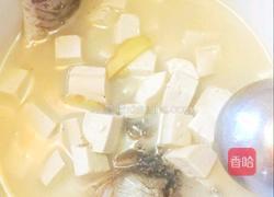 鲫鱼豆腐汤的做法图解3