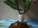 魔芋烧鸭