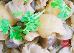 珍心蘑菇炖土豆的做法图解24