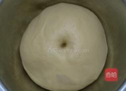 长辫子面包（波兰种）的做法图解7