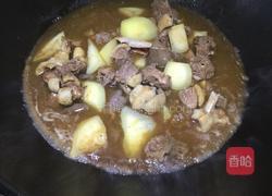 家常简易版-土豆焖鸭的做法图解7