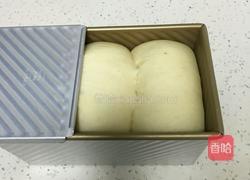 荔枝吐司面包的做法图解13