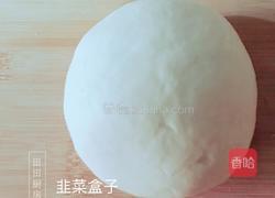 韭菜盒子的做法图解3