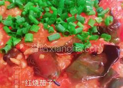 红烧双茄（茄子+番茄）