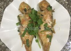 煎煮马头鱼