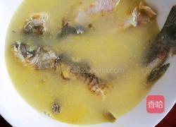 纯野生鲫鱼汤的做法图解6