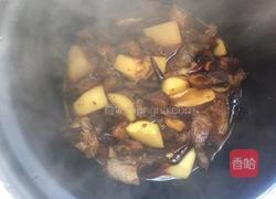 牛肉炖土豆的做法图解13