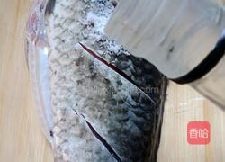 清蒸鲫鱼的做法图解3