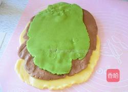 彩色饼干（新年甜品）的做法图解6