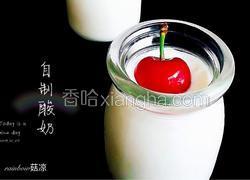 自制樱桃老酸奶