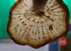 奶奶牌下饭菜(萝卜干炒豆干)的做法图解4