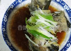 清蒸石斑鱼