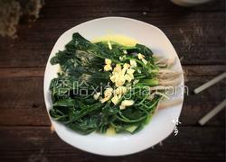 红嘴绿鹦哥