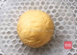 鸡蛋小麻花的做法图解7