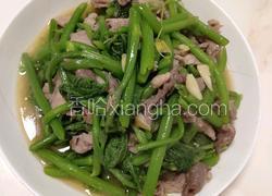 瘦肉炒南瓜苗