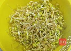 凉拌黄豆芽的做法图解1