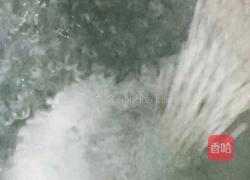 芋圆芒果西米露的做法图解9