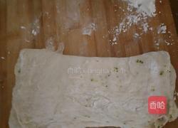 西蓝花香肠面包(免柔)的做法图解8