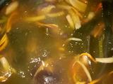 独创虫草花山药什锦海鲜菇菌汤