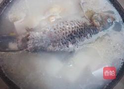 鲫鱼豆腐汤的做法图解4