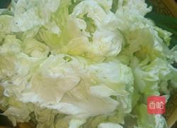 酸辣白菜的做法图解3