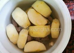 苹果南杏北杏瘦肉汤