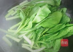 蒜蓉菜心的做法图解1