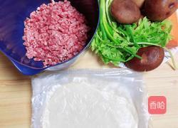 酥皮鲜肉春卷(飞饼版)的做法图解1