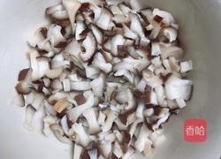 酥皮鲜肉春卷(飞饼版)的做法图解4
