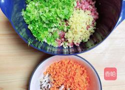 酥皮鲜肉春卷(飞饼版)的做法图解5