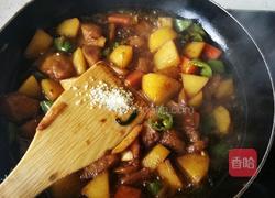 土豆胡萝卜烧茄子的做法图解7