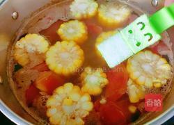 蛤蜊玉米番茄牛骨汤的做法图解10