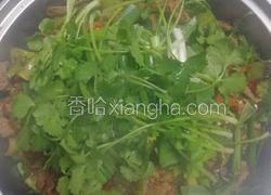 青菜牛肉干锅