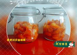 金桔膏（枇杷川贝金桔膏