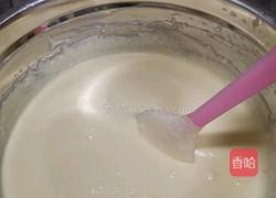 家庭版中国风无添加冰淇淋的做法图解5