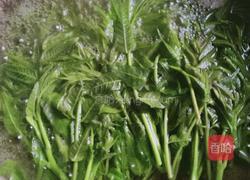 炸香椿鱼儿的做法图解3