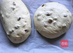 中种软欧包，这款面包口感超软，是我最喜欢的口感的做法图解10