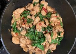 泰式甲抛叶炒鸡肉
