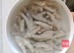 土豆胡萝卜焖鸡爪的做法图解6