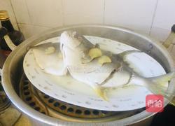 清蒸金鲳鱼的做法图解4