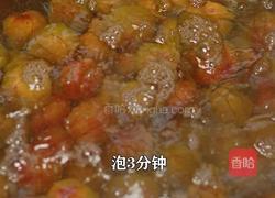 夏季时令水果酸李子 做成糖醋李子 酸酸甜甜的做法图解2