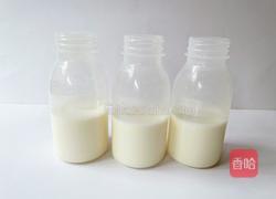 自制缤纷水果撞奶的做法图解5