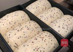 尝试不同的做法 加了藜麦的牛奶吐司面包的做法图解8
