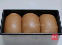 带着香浓诱人可可味吐司的做法图解6