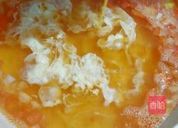 碧波荡漾之西红柿鸡蛋小白菜面的做法图解11