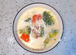 田园什锦蔬菜汤